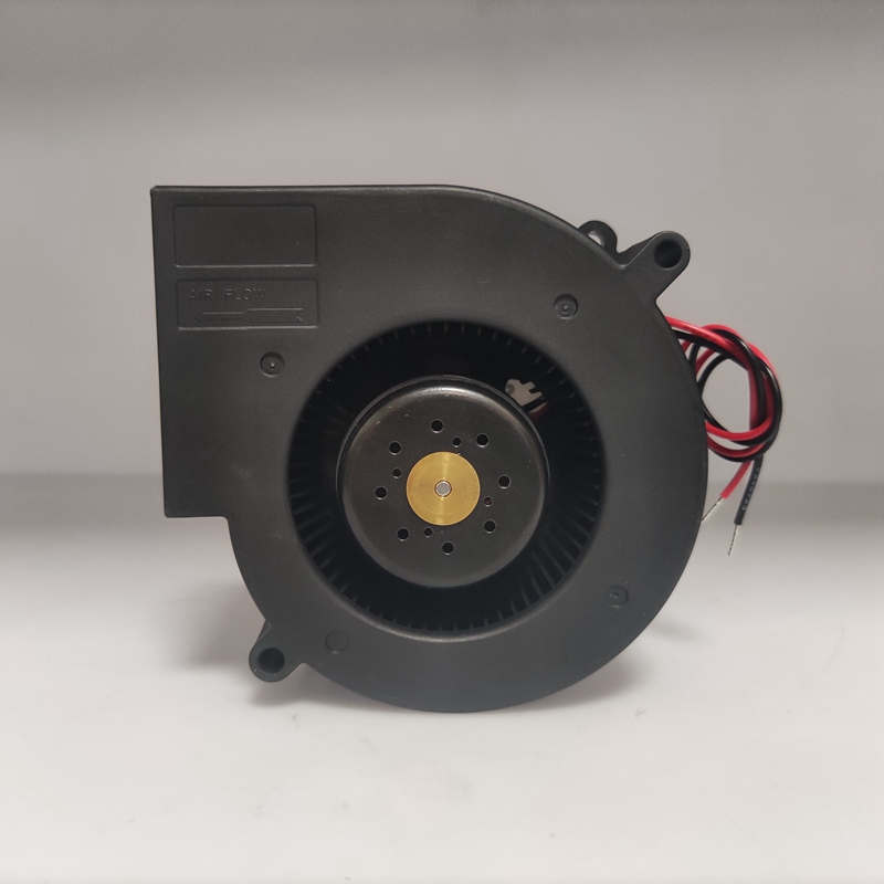 005cc8e42f4977f46da911aedca6eab